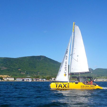 Est Eco-Cabines Nouvelle Extérieur photo